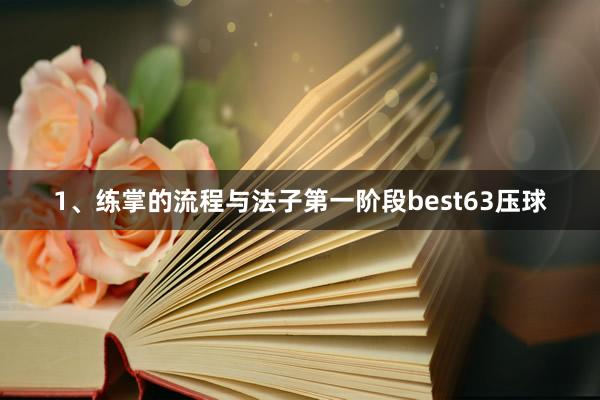 1、练掌的流程与法子第一阶段best63压球