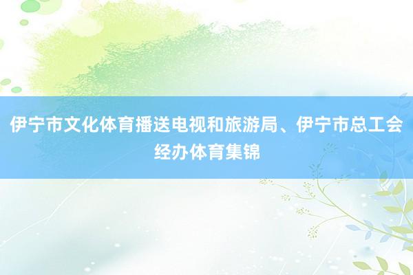 伊宁市文化体育播送电视和旅游局、伊宁市总工会经办体育集锦