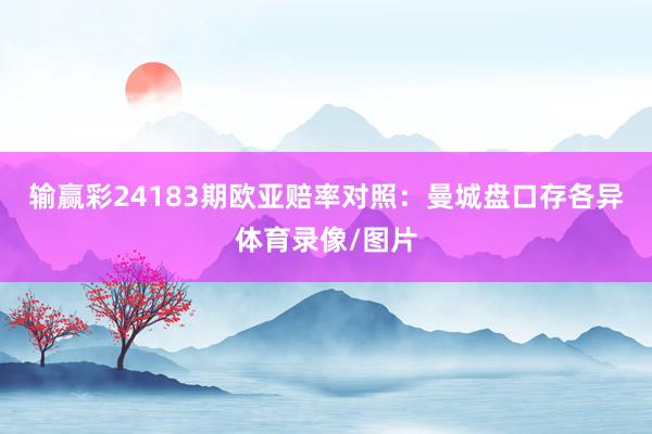 输赢彩24183期欧亚赔率对照：曼城盘口存各异体育录像/图片